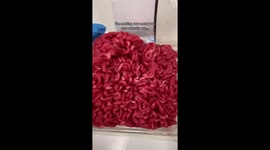 Woman leaves internet horrified eating 'raw mince' – but all is not as it seems Part 1/2