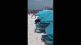 Black Bear comes out of the ocean and runs towards the dunes