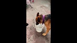 The Most Graceful Way To Drink Water