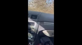 Car Covered By Tons of Tumbleweeds