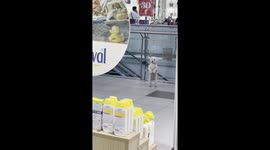 Mall Dog Waves With Front Feet