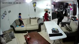 Mayhem as kid gets his hand stuck on glue mouse trap