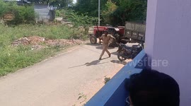 An elephant in Tamilnadu charges the forest officials as they set out to dart it.