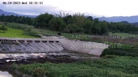 Wild elephant destroys fence at wildlife sanctuary in Thailand