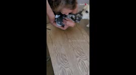 Cute children are delighted and overwhelmed when surprised with a puppy