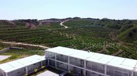 Young team develops smart agriculture to boost rural revitalization in north China