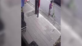 Large Godzilla-like monitor lizard rampages through shop