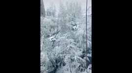 Snowfall earlly in the morning and enjoy weather in balcony of my home in winter season