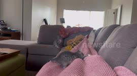 Penny Watches Her Wild Sister
