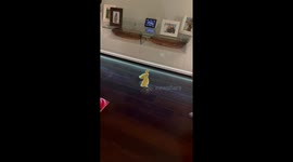 Ducklings Pitter-Patter Across Floor