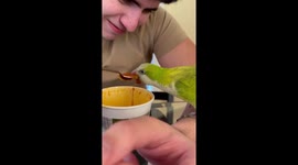 Jimmy Thinks This Is Good Soup