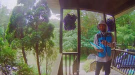 Loose Dogs Leave Delivery Driver Stranded on Banister