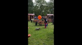 Dog Fitted With 'Retro GPS'