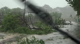 Cyclone Biparjoy: Uprooted trees and toppled electricity poles