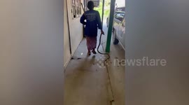 Ice-cool grandmother, 85, catches rat snake with bare hands when it enters garage