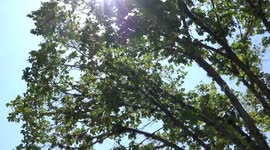 About 35 mln people in U.S. South brace for heat wave