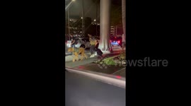 Suspicious package prompts evacuation at Los Angeles International Airport