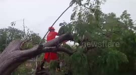 NDRF officials begin restoration work in western India