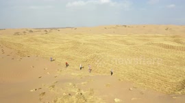 Thai expat amazed by China's anti-desertification efforts