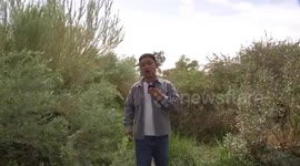 A visit to botanic garden in middle of China's largest desert