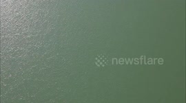 . South East water has put in place a hosepipe ban affecting millions of customers despite its main reserviors being 89% full (Arlington Reservoir shown) , East Sussex, UK