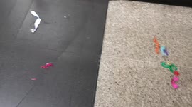 Late at night on the London Underground colourful feathers are all over the floors of the station platforms and the cartridges. This is due to female  Harry Styles fans attending his concert. Where they took the fashion trend to go with wearing  feather b