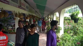 Tree fair in Bangladesh capital woos nature lovers