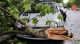 Huge wind in Paris: branchs fall on a Twingo car (Renault) in Paris. Boulevard de la Madeleine, France. 18 june 2023