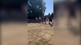 Grandad fractures arm during 'dad' race at school sports day