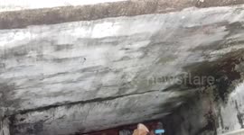 Helpless kitten rescued after falling into 10ft deep water tank while chasing mice
