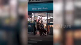 Hilarious dog tries and fails to enter supermarket by casually walking in like customer