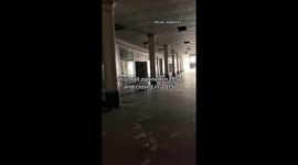 Inside eerie abandoned mall in Michigan with shopping supplies left behind