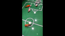 Fish score goals in soccer pitch themed aquarium