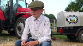Meet the young farmer who rents his own land, breeds sheep and owns a border collie