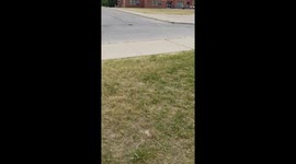 Heartwarming surprise reunion, mother meets her sons after a week