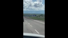 Mormon Crickets Cover Nevada Road