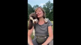 Could This Be the Cuddliest Dog Ever?