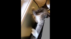 Marn Fails To Check His Surroundings