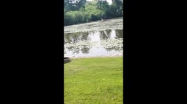 Big Rig Pontoon Boat