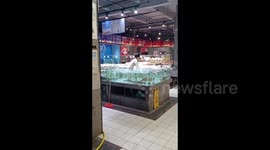 男童独自爬进超市鱼池内玩水