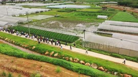 Int'l symposium participants express confidence in China's Juncao technology