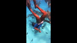 THIS MAN had a near-miss SHARK BITE from a 200-pound nurse shark coming inches from his face.