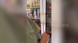 Two pet cats take over shelves inside grocery store fridge to cool off