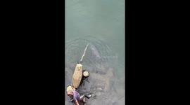 Huge 40kg fish caught in pond by man in China