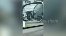 Pick-up truck driver carries queen-sized mattress on the back but it almost blows away