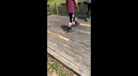 Man stumps his high school sweetheart with an enchanting pond-side proposal