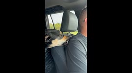 Road Trip Love Bites