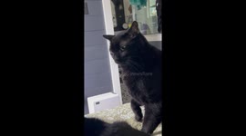 Maven is a Bit of Troublemaker