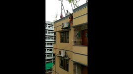 Kitten Rescued From The Roof