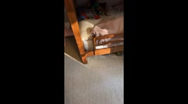 Daughter Receives a Waffle Wake-Up Call